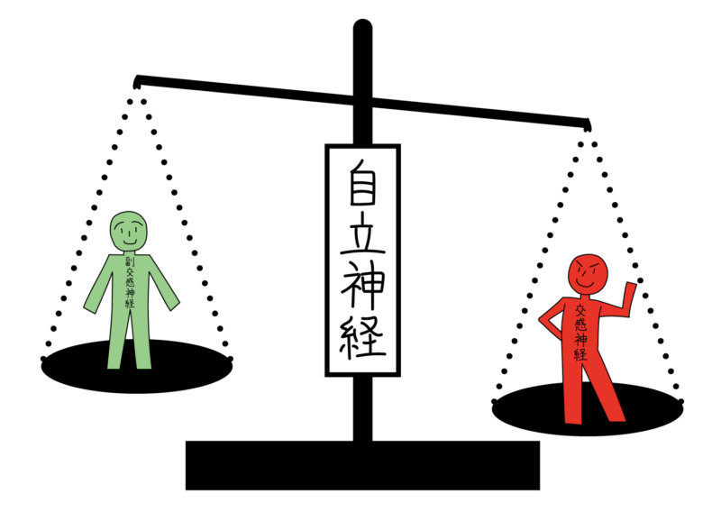 自律神経